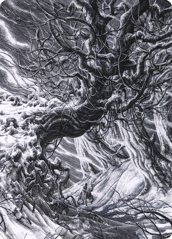 image Forest // Forest