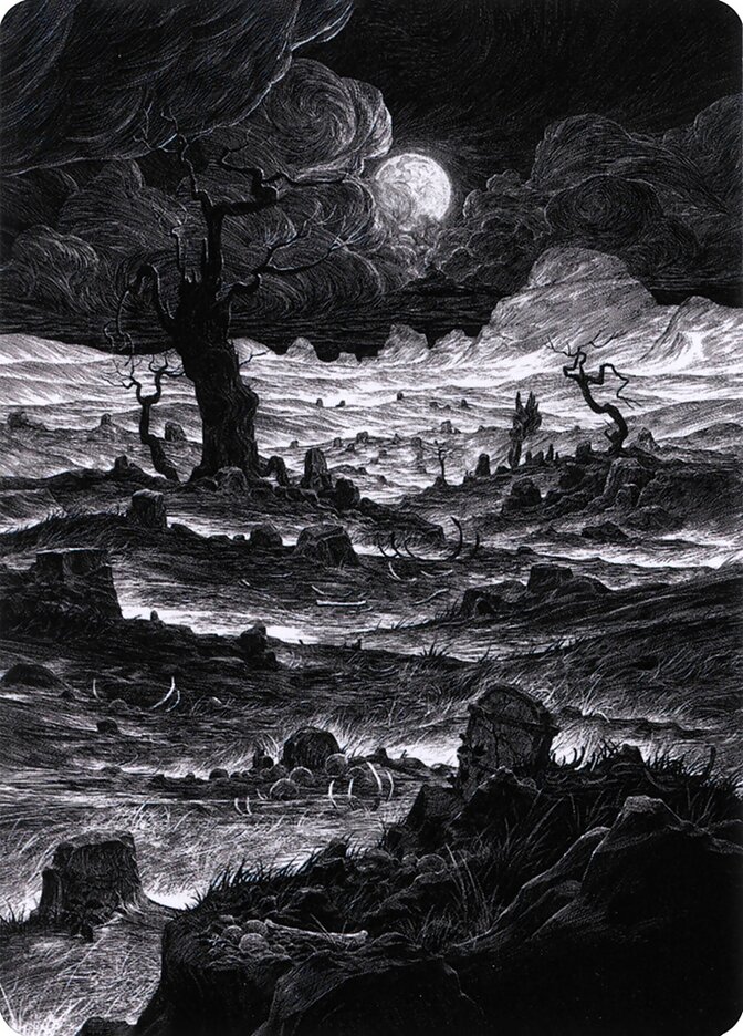 image Plains // Plains