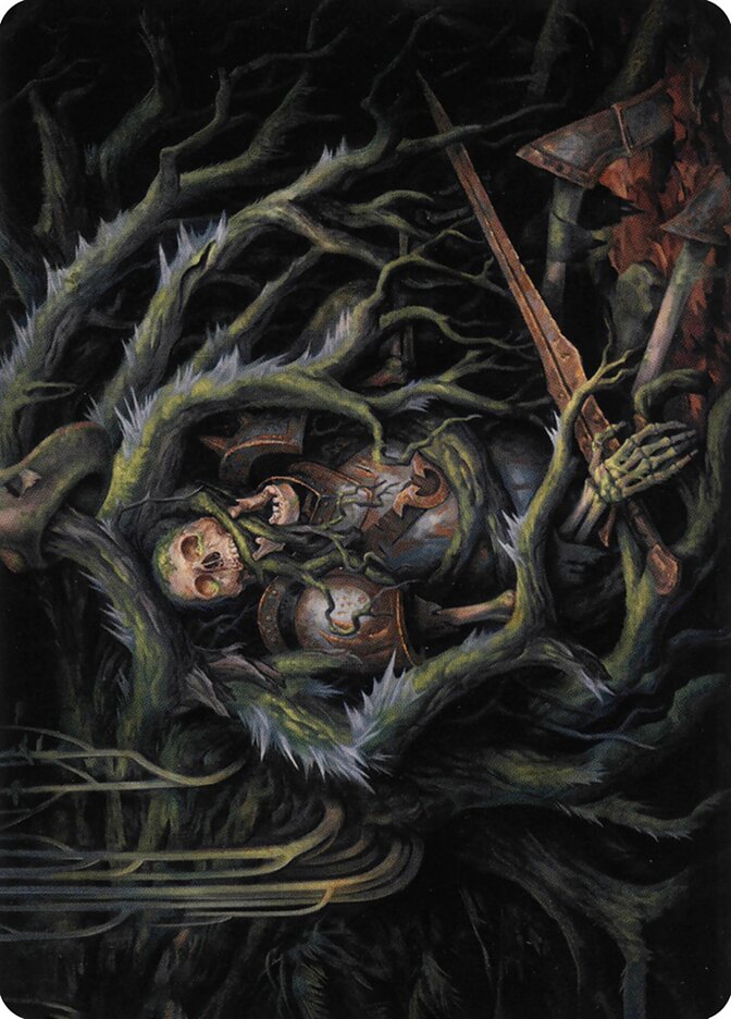 image Retrieve // Retrieve