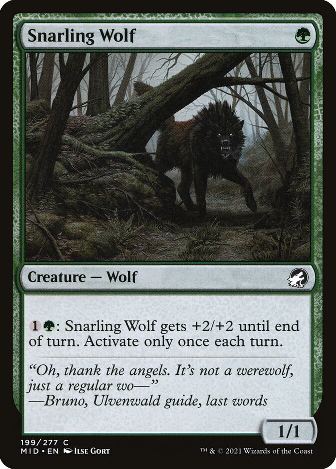 image Snarling Wolf