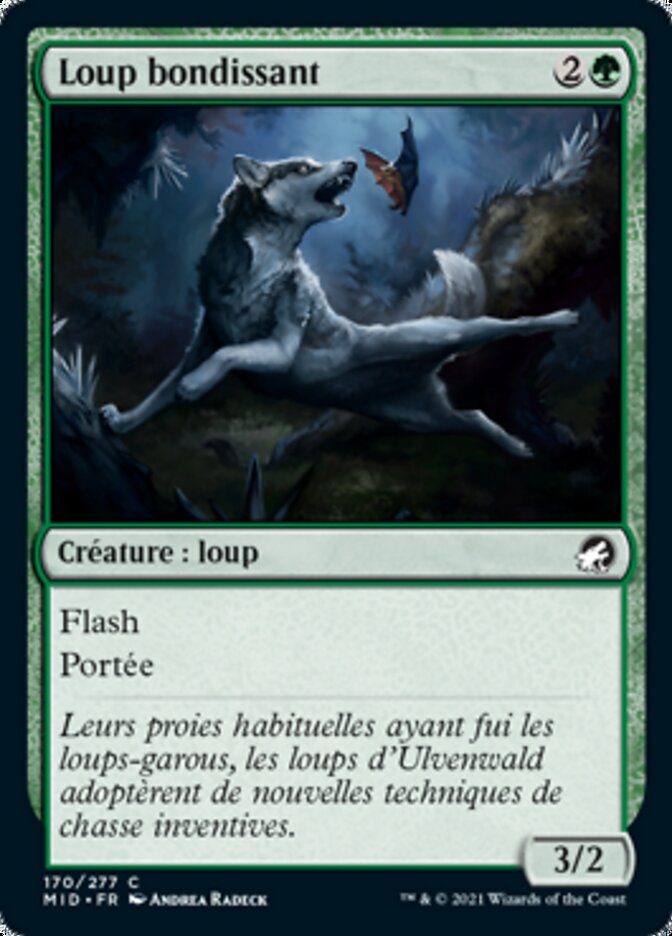 image Loup bondissant