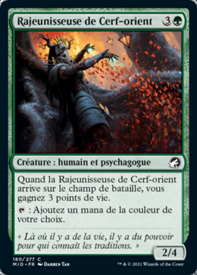 image Rajeunisseuse de Cerf-orient