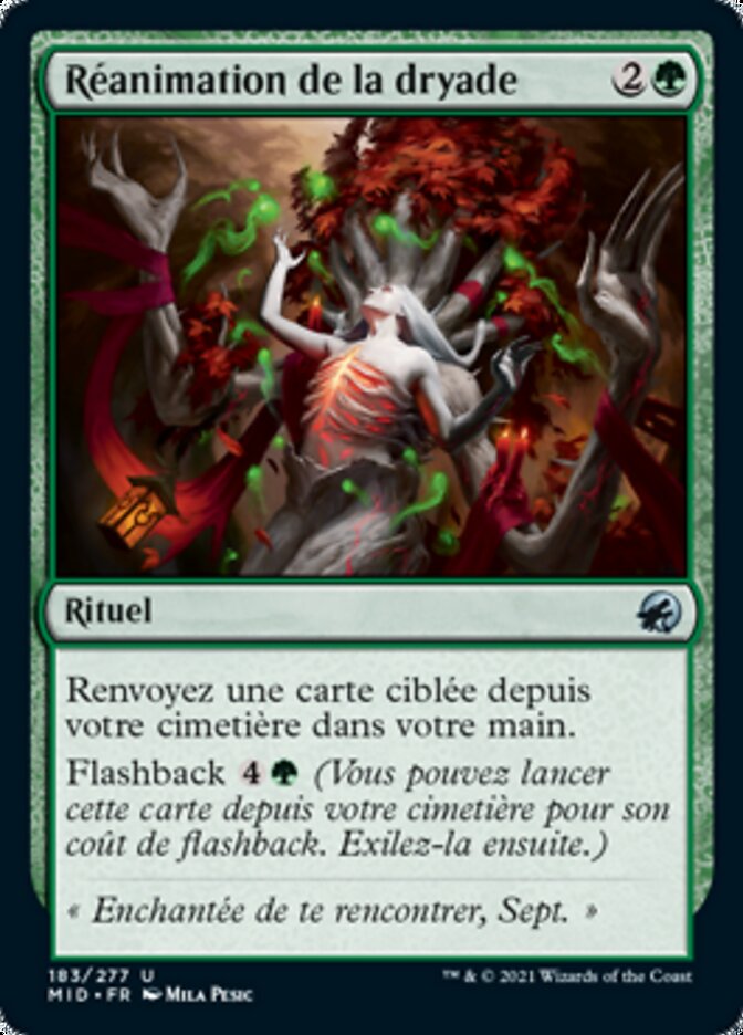 image Réanimation de la dryade