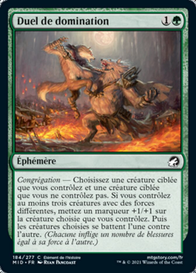 image Duel de domination