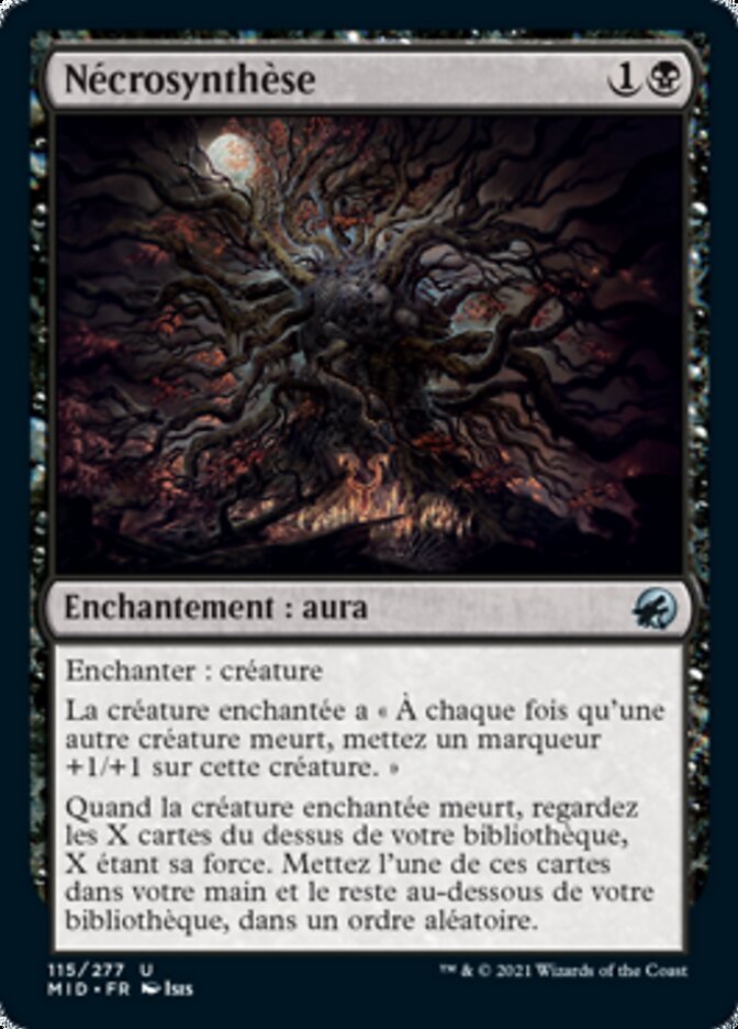 image Nécrosynthèse