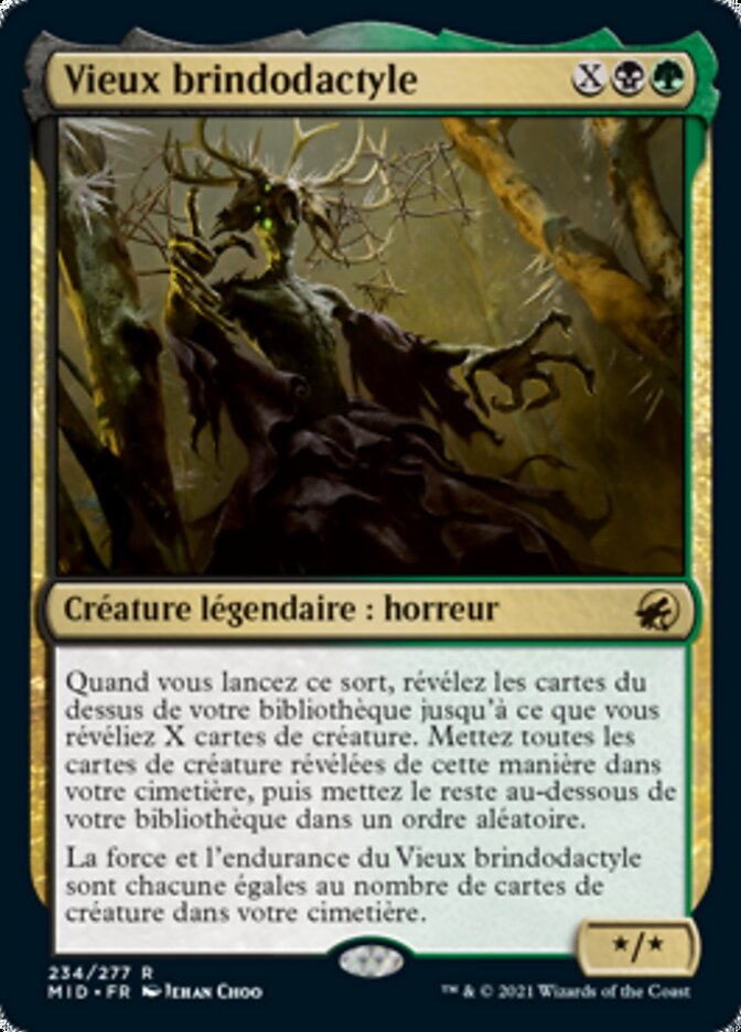 image Vieux brindodactyle