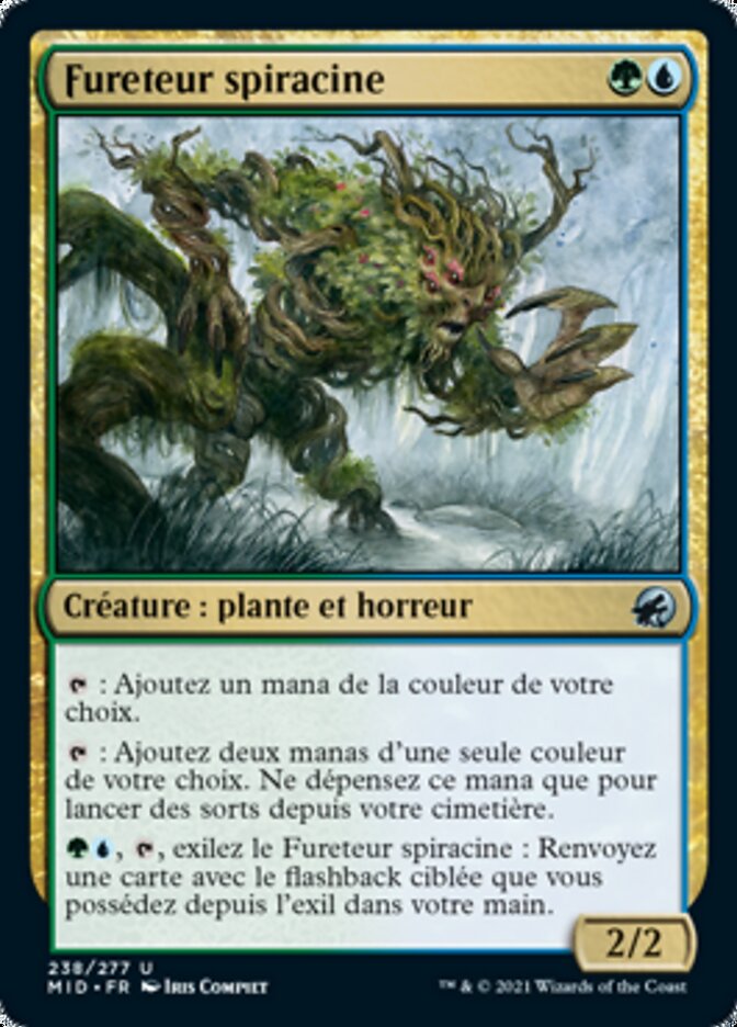 image Fureteur spiracine