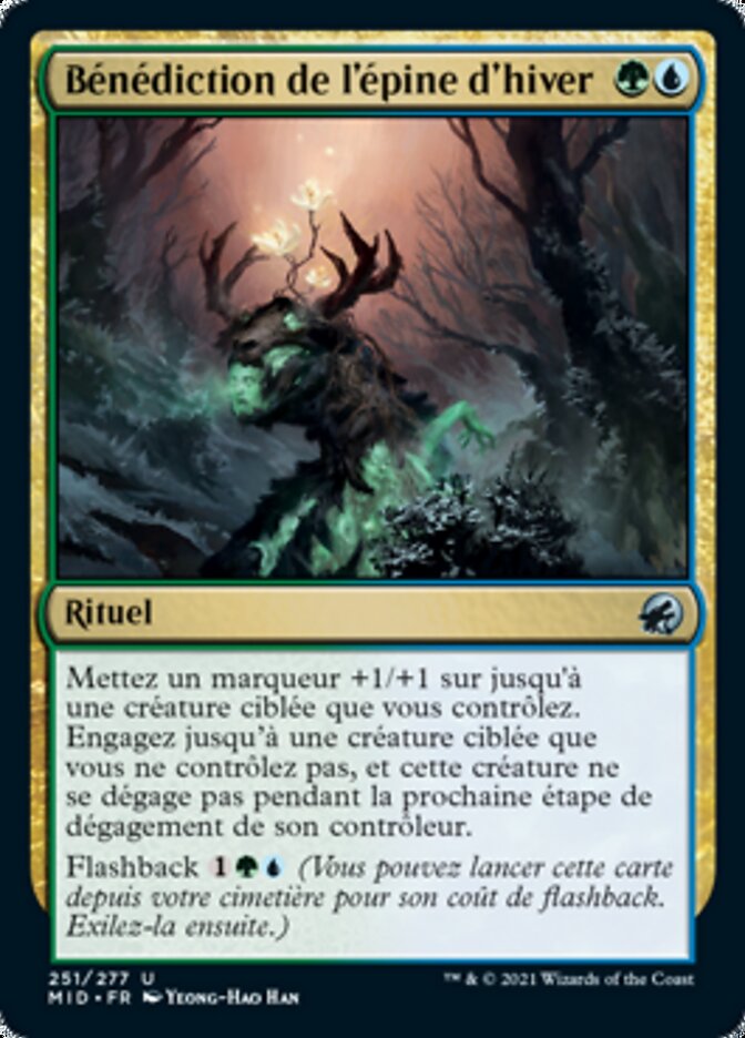 image Bénédiction de l'épine d'hiver