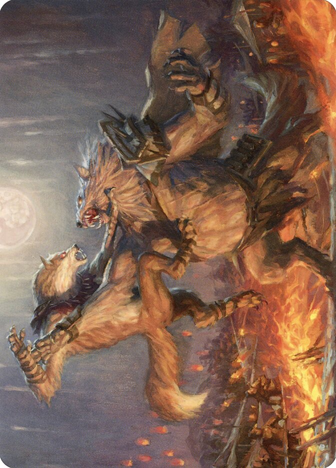 image Duel for Dominance // Duel for Dominance