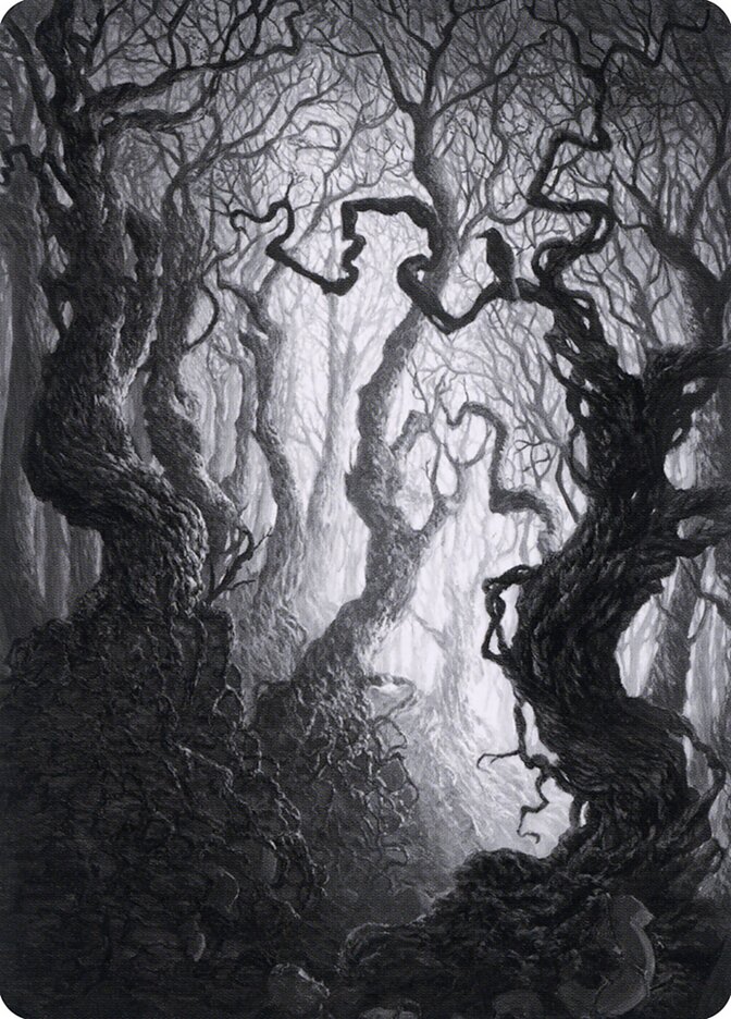 image Forest // Forest