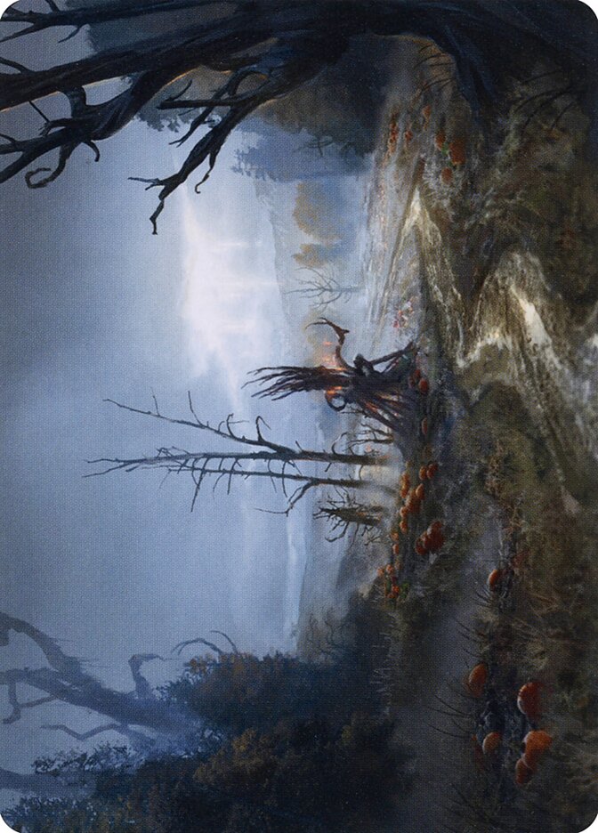 image Overgrown Farmland // Overgrown Farmland