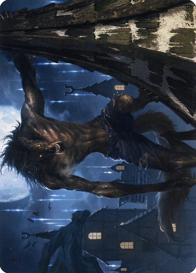 image Stalking Predator // Stalking Predator