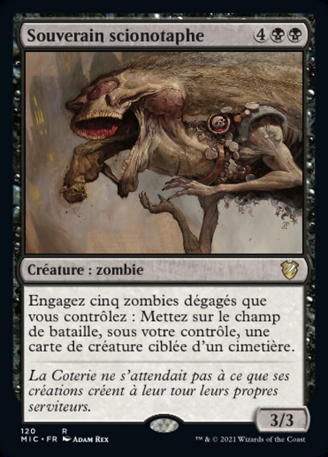 image Souverain scionotaphe