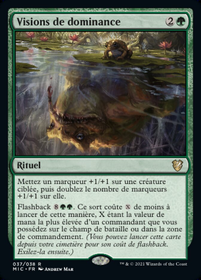 image Visions de dominance