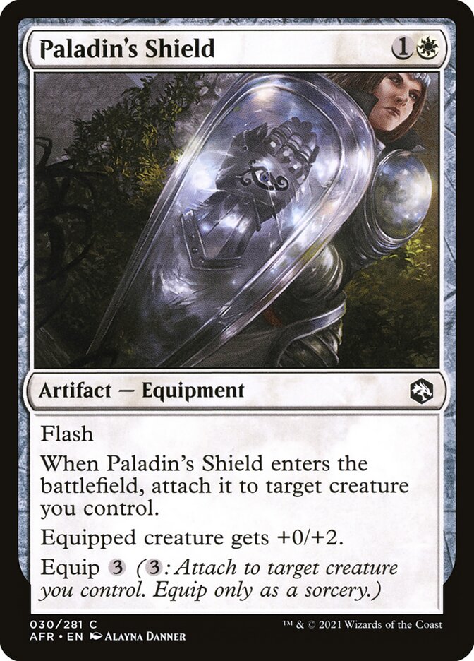 image Paladin's Shield