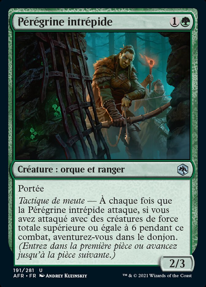 image Pérégrine intrépide