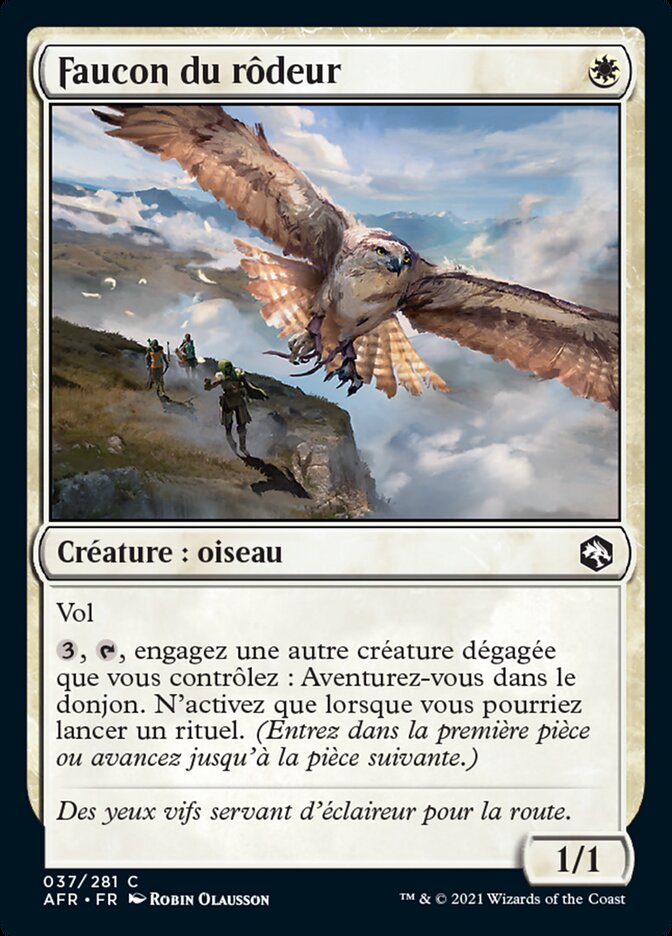 image Faucon du rôdeur