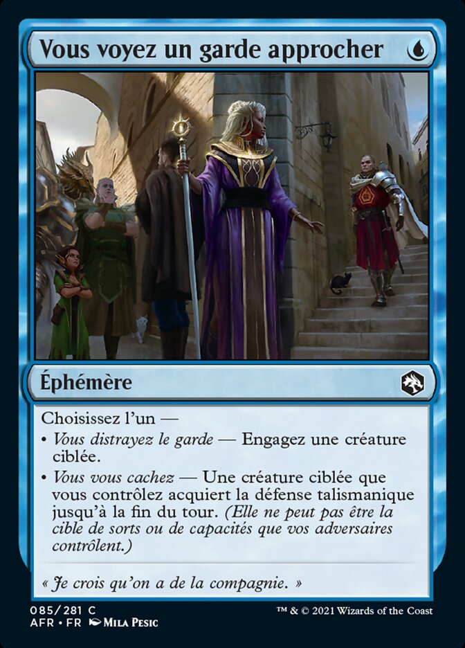 image Vous voyez un garde approcher