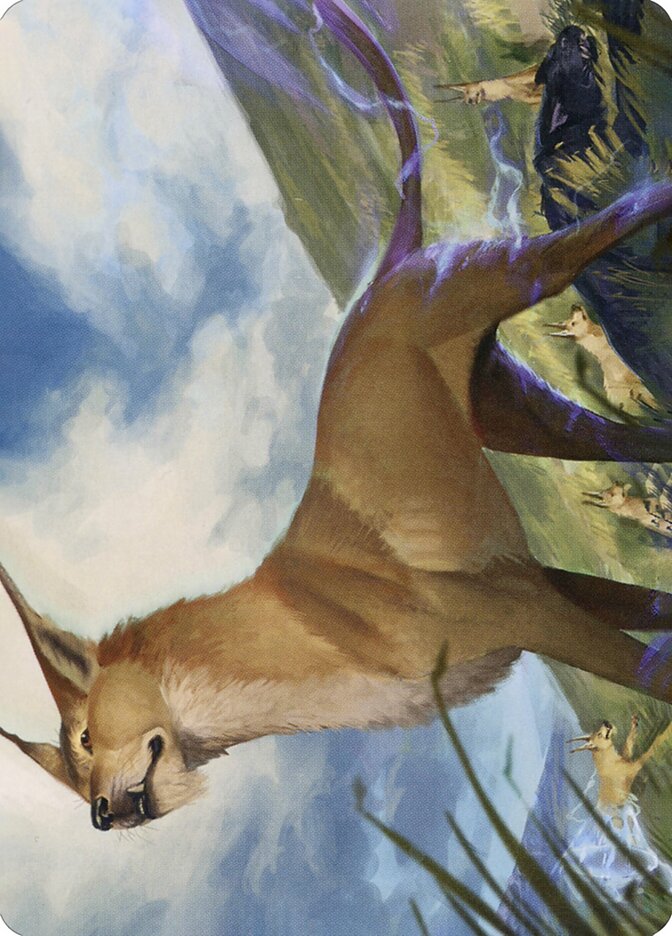 image Blink Dog // Blink Dog