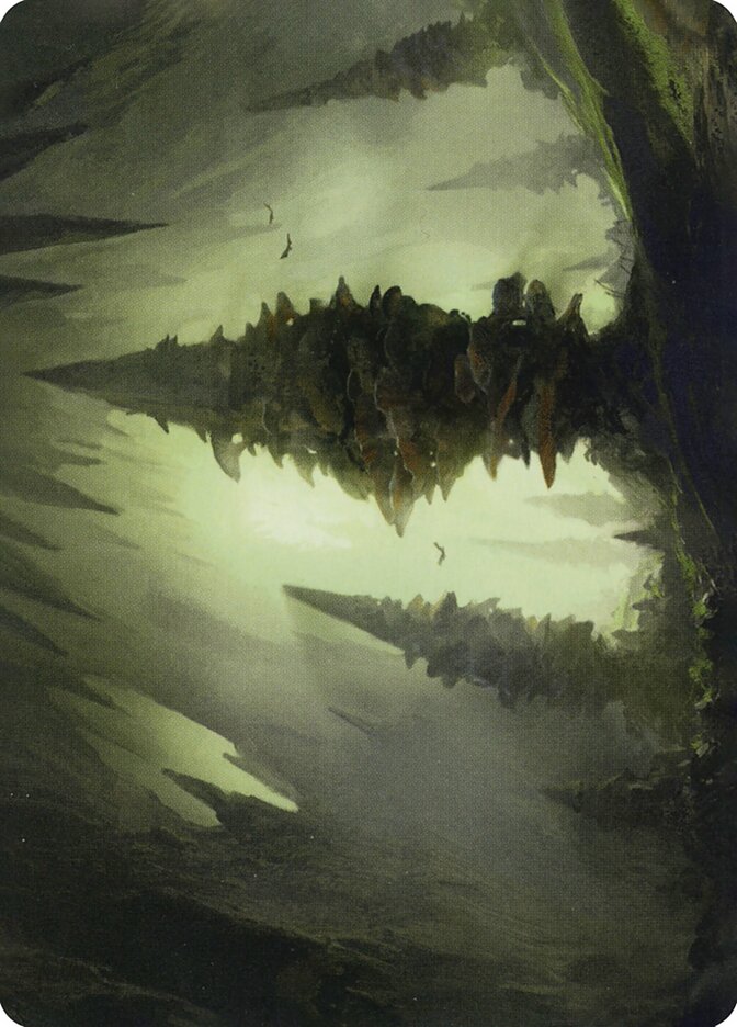 image Forest // Forest