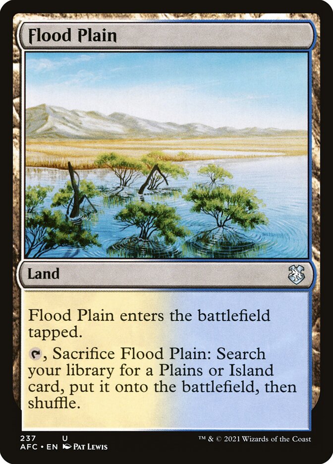 image Flood Plain