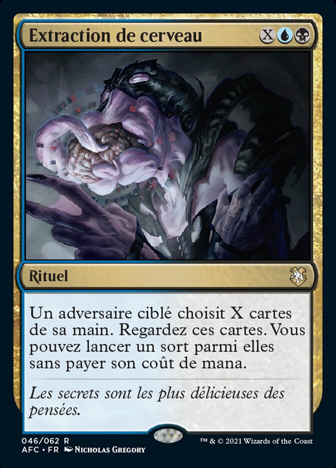 image Extraction de cerveau