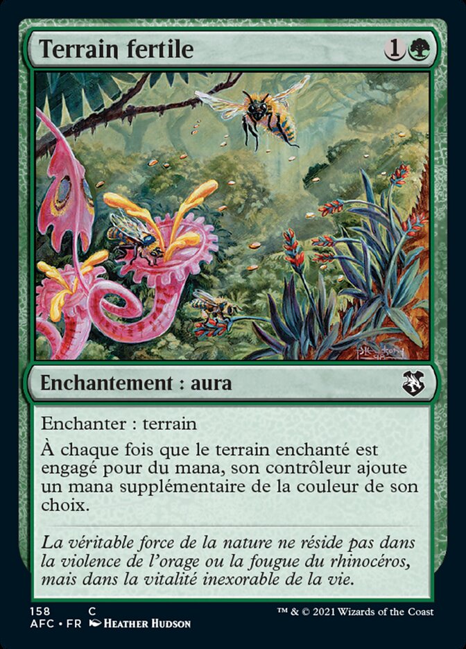 image Terrain fertile