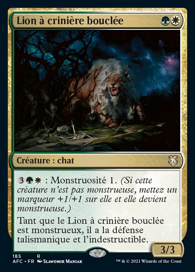 image Lion à crinière bouclée