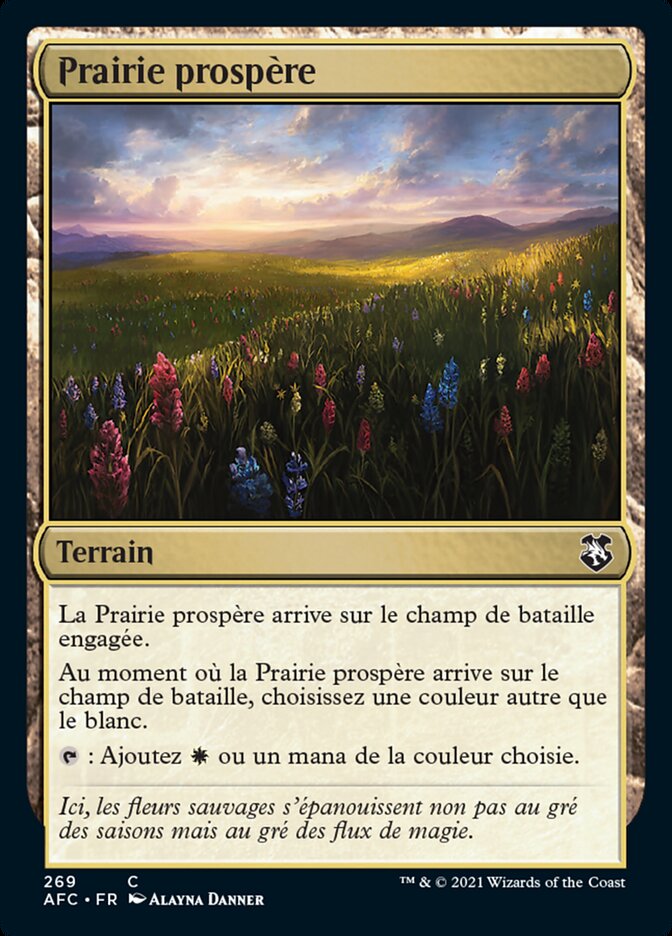 image Prairie prospère