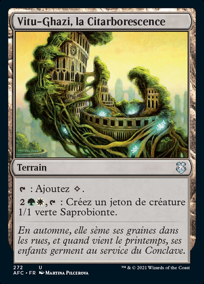 image Vitu-Ghazi, la Citarborescence