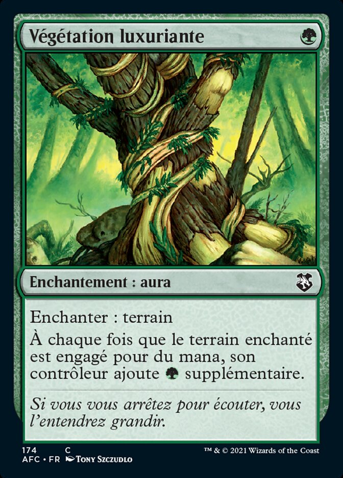 image Végétation luxuriante