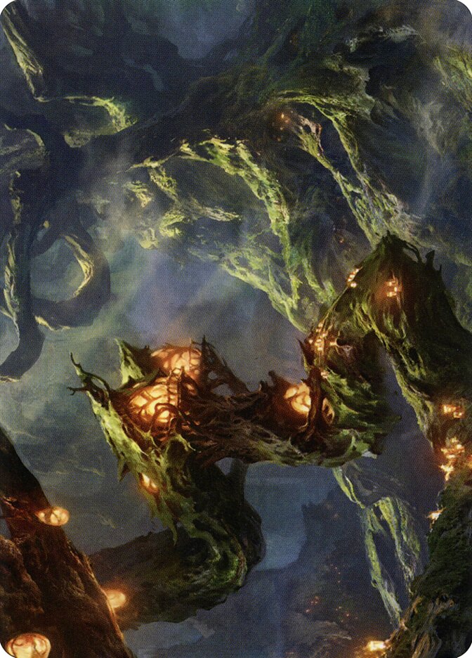 image Forest // Forest