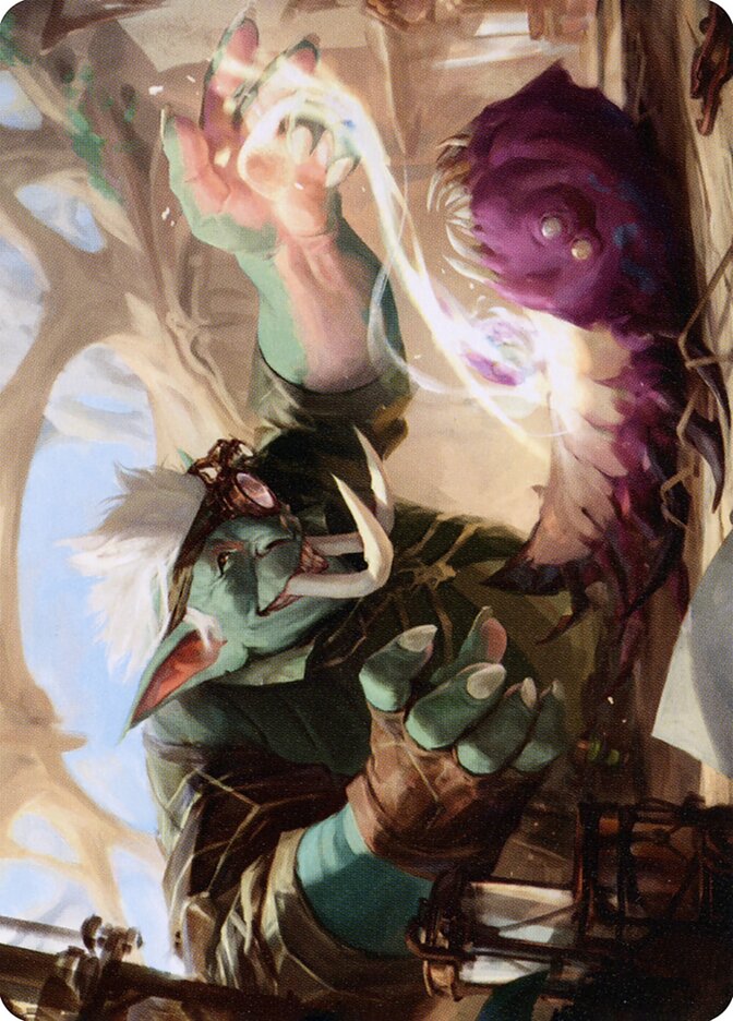 image Novice Dissector // Novice Dissector