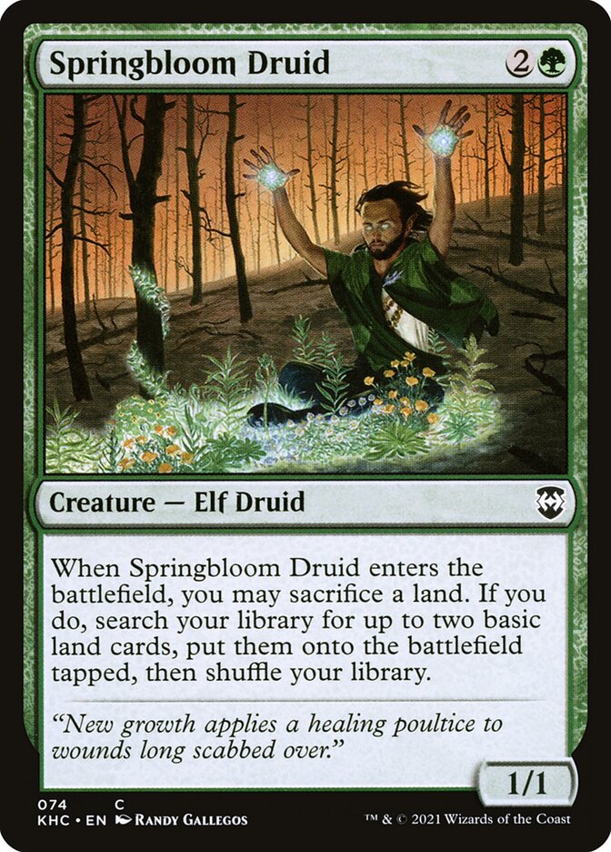 image Springbloom Druid