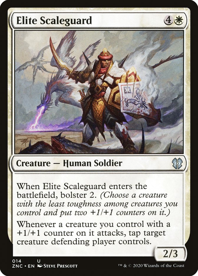 image Elite Scaleguard
