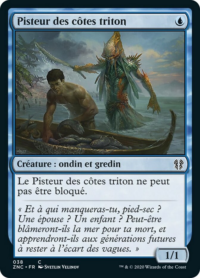 image Pisteur des côtes triton