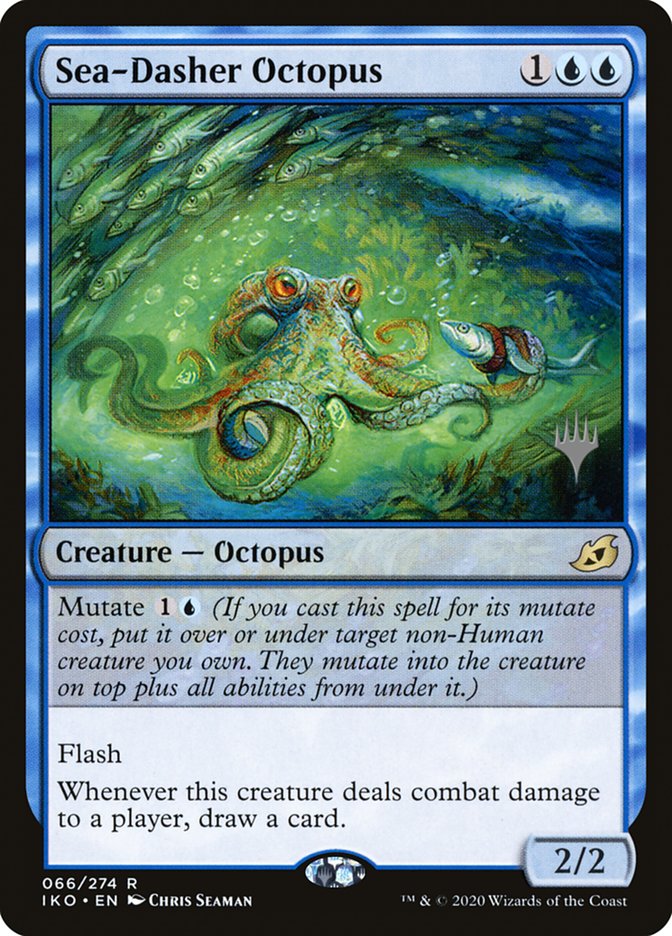 image Sea-Dasher Octopus