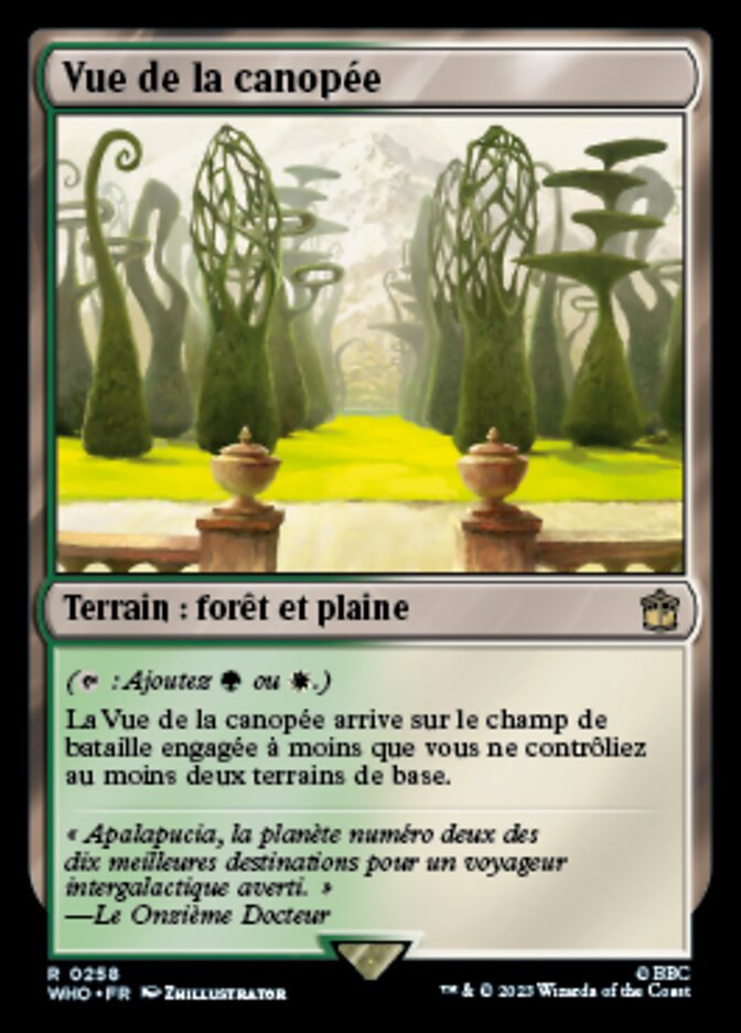 image Vue de la canopée