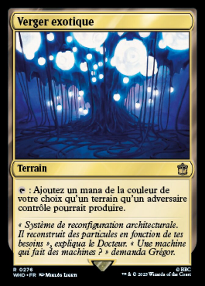 image Verger exotique