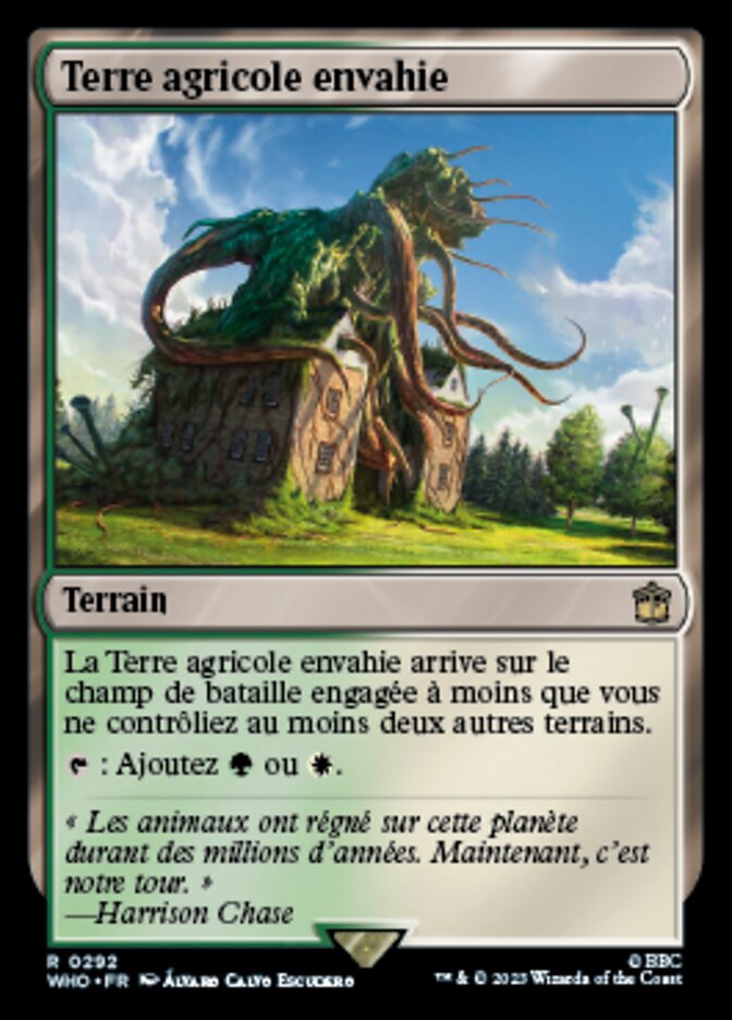 image Terre agricole envahie