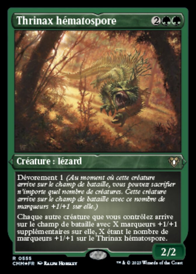 image Thrinax hématospore