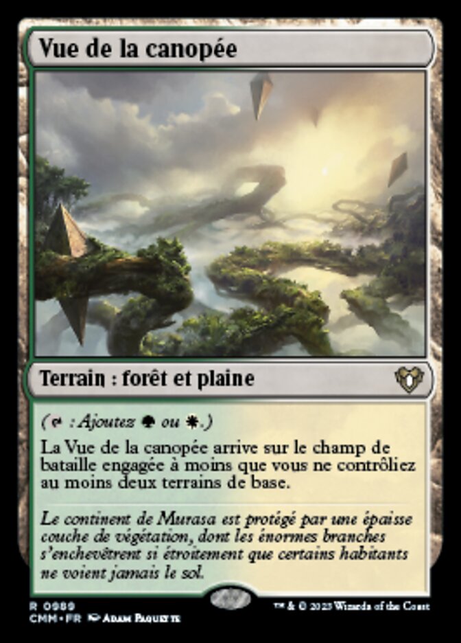 image Vue de la canopée