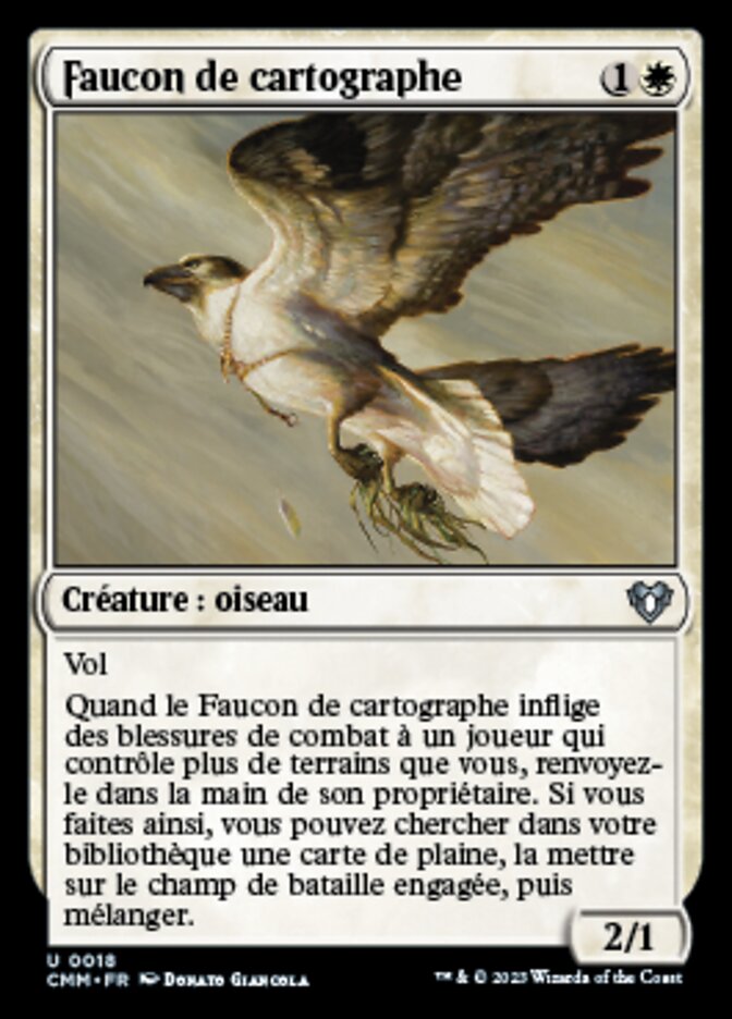 image Faucon de cartographe