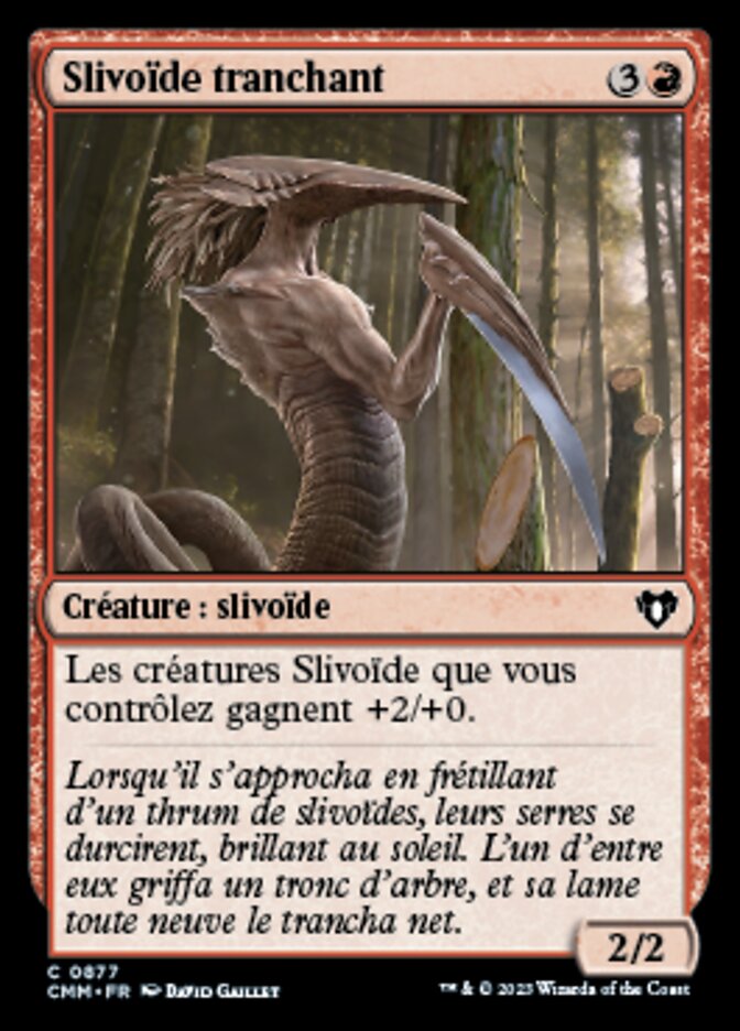 image Slivoïde tranchant