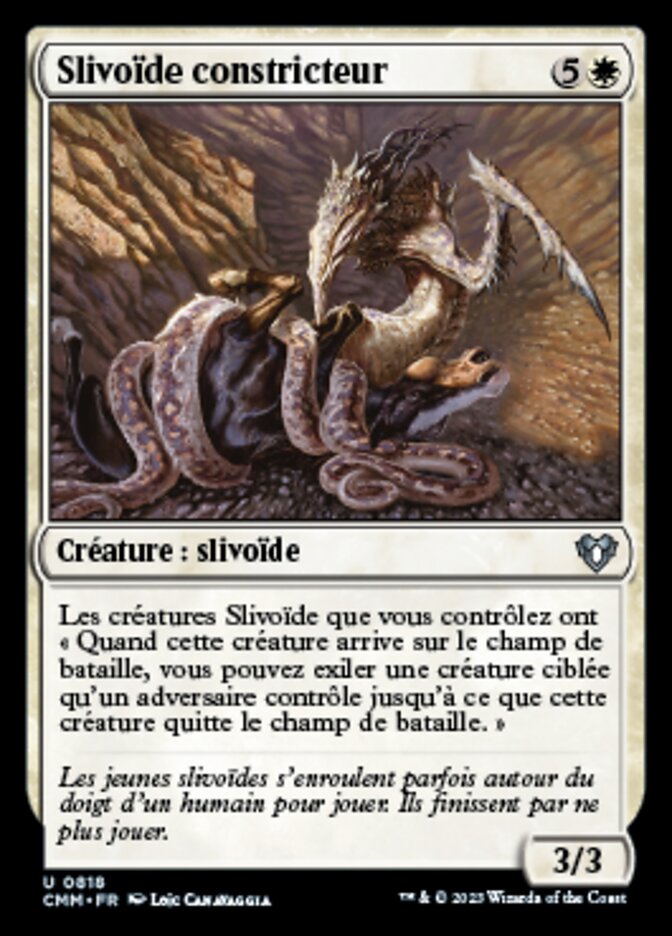 image Slivoïde constricteur