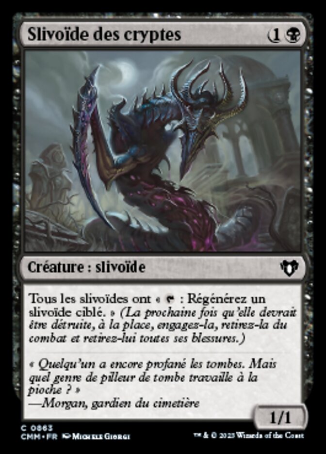 image Slivoïde des cryptes