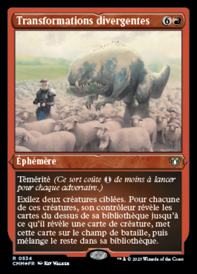 image Transformations divergentes