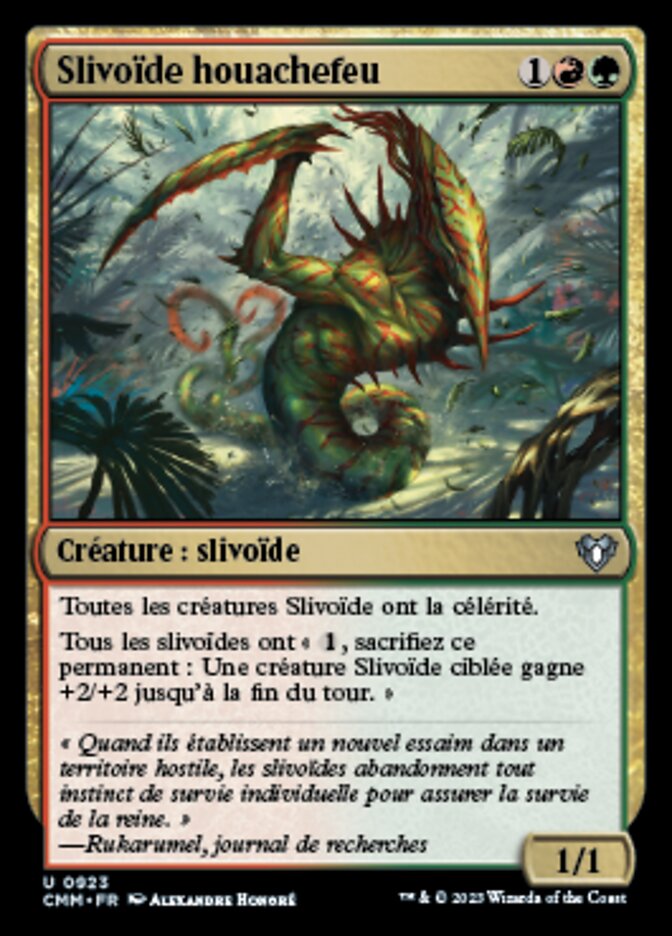 image Slivoïde houachefeu