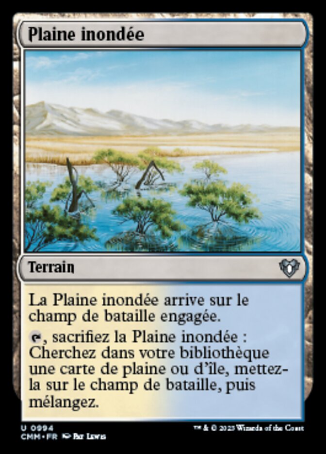 image Plaine inondée