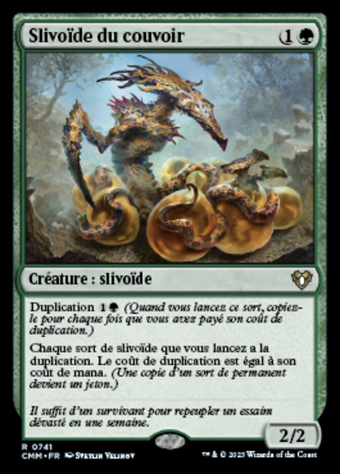 image Slivoïde du couvoir